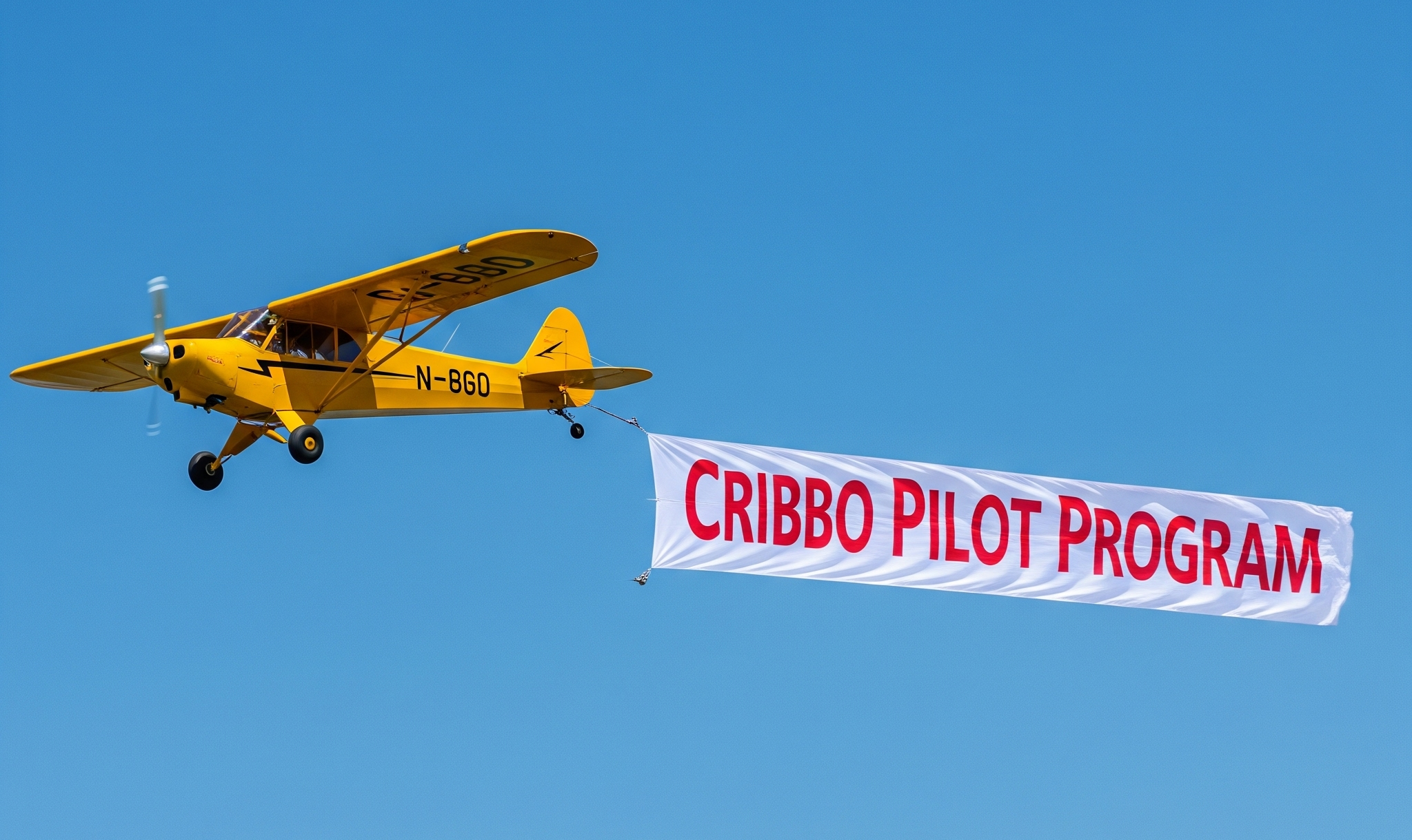 Cribbo Pilot Program 2 (smlr)